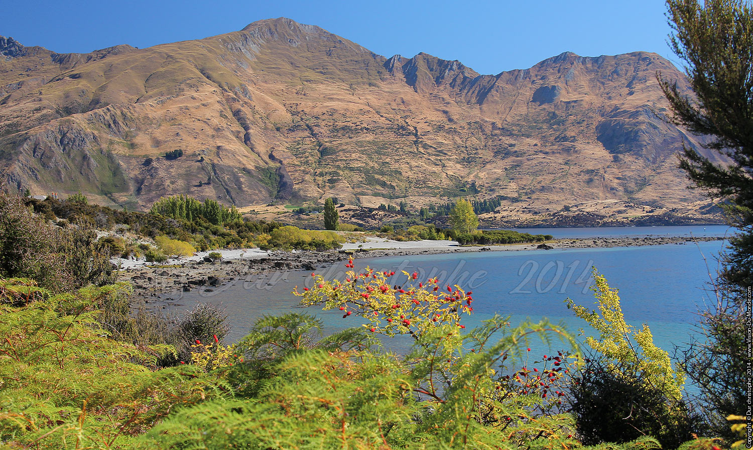 Wanaka - NOUVELLE ZELANDE
